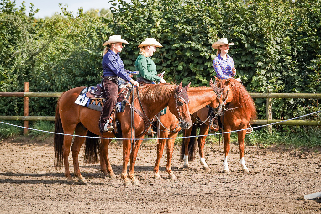 DSC00462 | Pferdegrafie