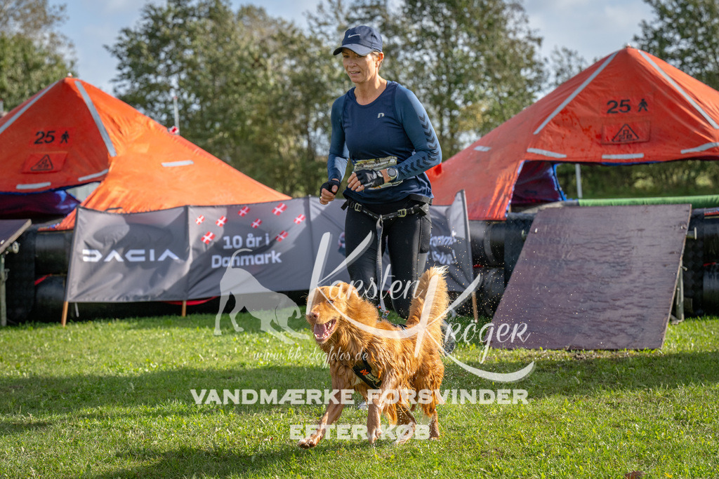 1208-92572 | kk-dogfotos