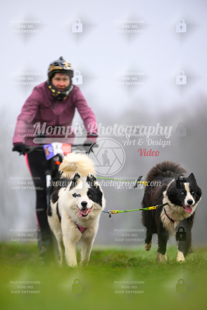 MompixPhotography_CDF2023_FFST_Di_DS2-79 | PayLife