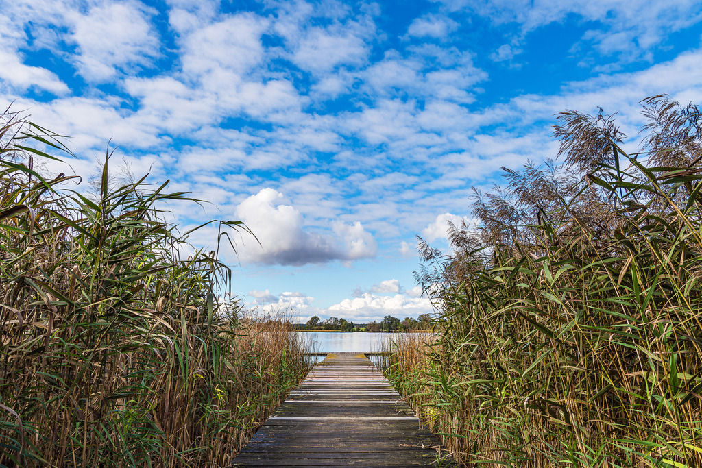 Steg und Schilf am Krakower See im Dorf Serrahn | Steg und Schilf am Krakower See im Dorf Serrahn.