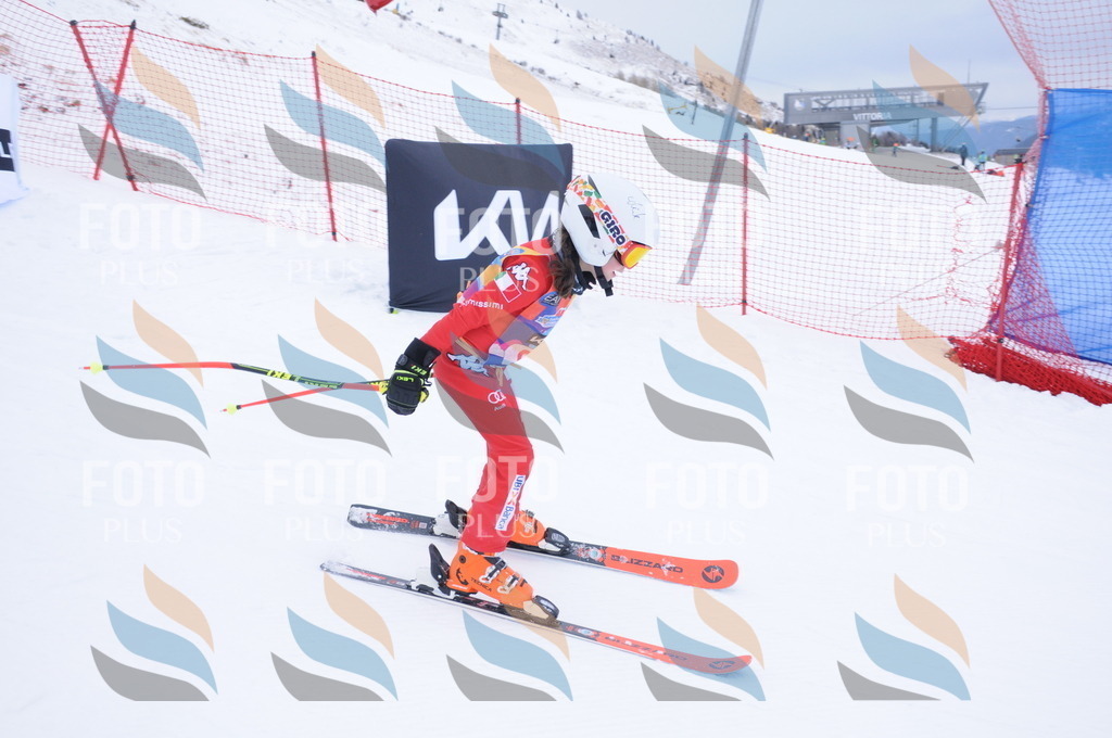 DSC_8303 | holidayphoto