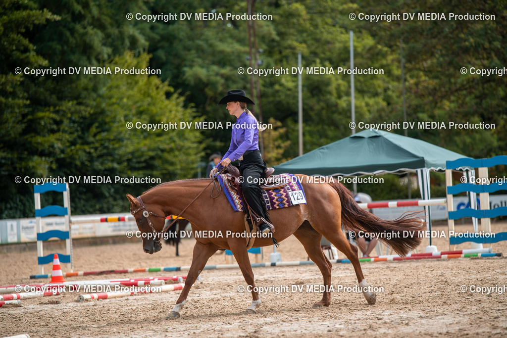 ZS3_9354 | dv-media-shop - Realisiert mit Pictrs.com