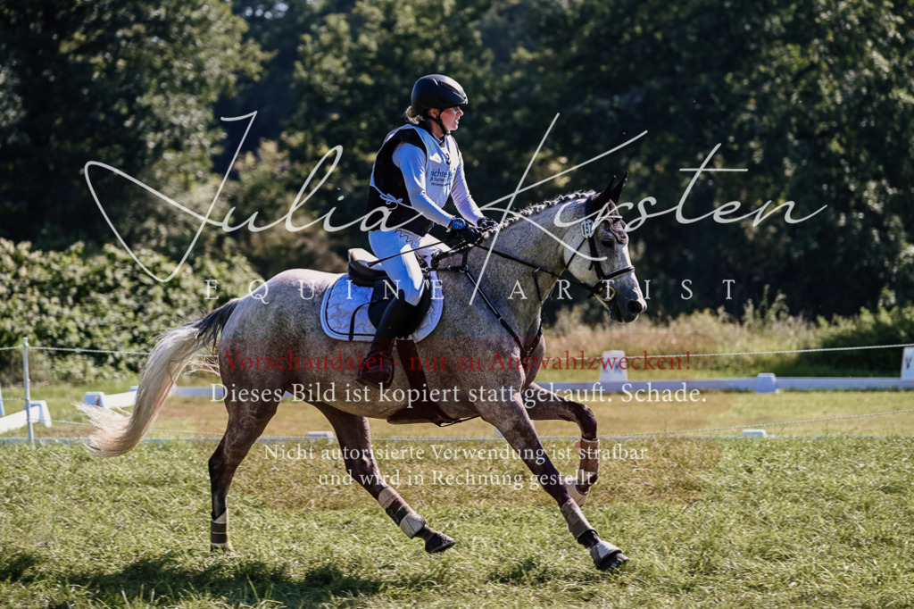 DSC_1425 | Pferde- und Turnierfotografie in Westsachsen. Pferdeportraits, Auftragszeichnungen und intuitive Kunst.