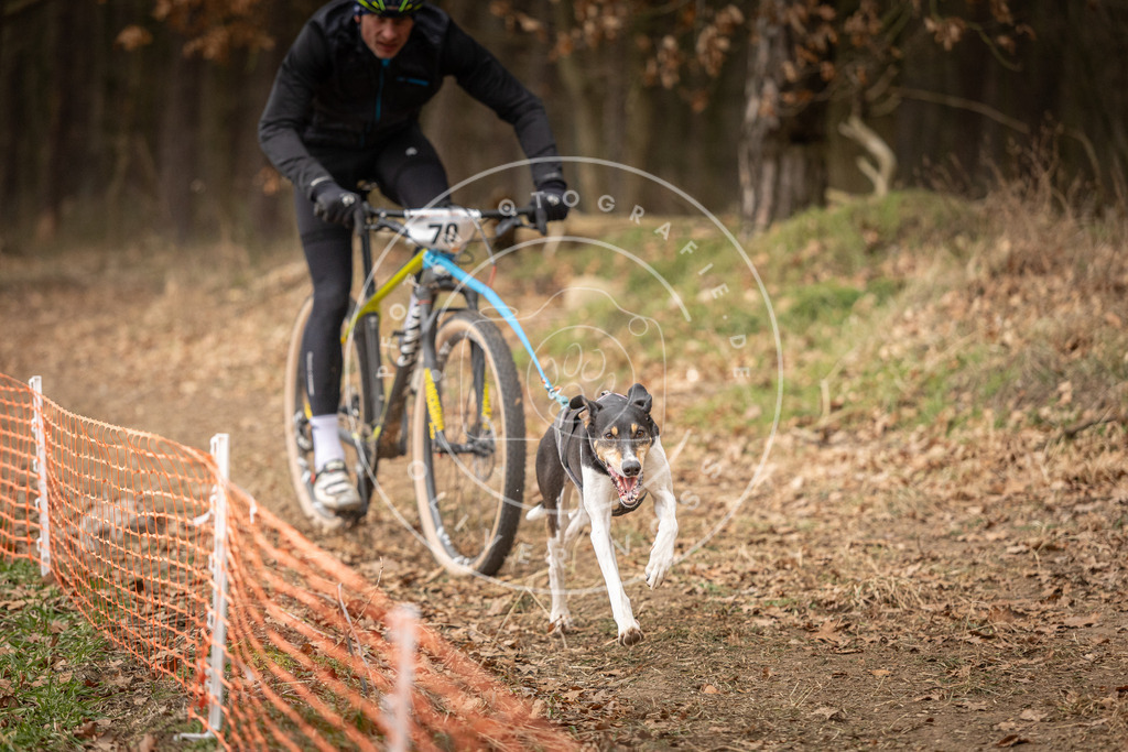 Pfotenfotografie_DV3A3378 | Hundefotografie, Tierfotograf, Pfotenfotografie, Fotoshooting Hund, Hunde Portrait, Hundesport, Hundeportraits, Heideshooting, Hunde, Sportfotograf, Hundefotograf, Turnierhundsport, THS,  - Realisiert mit Pictrs.com