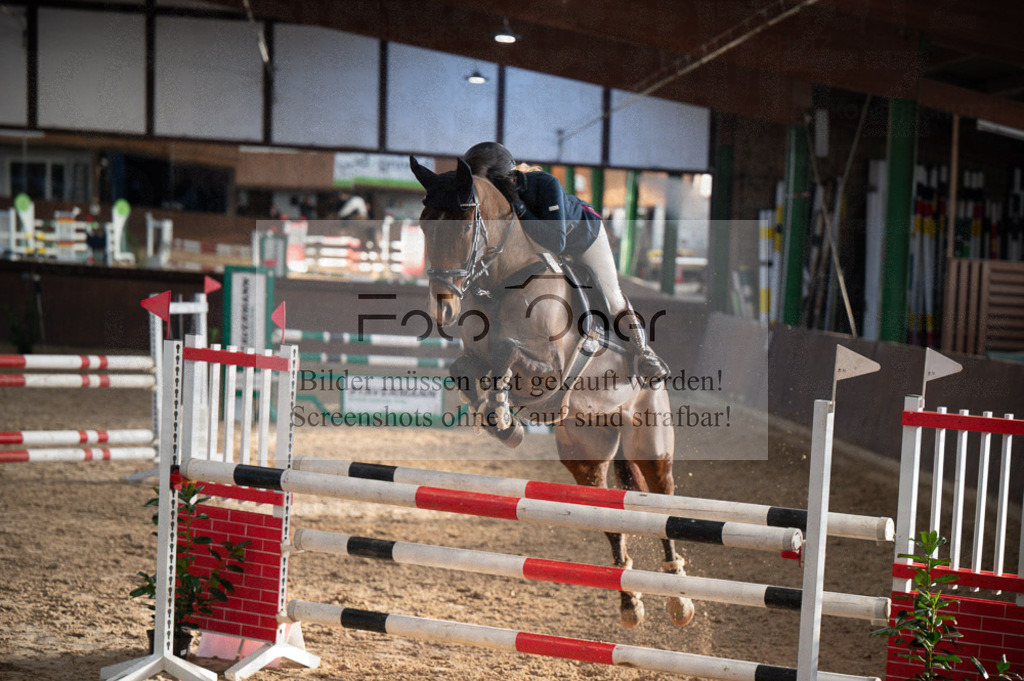 Hallenreittunier Voxtrup 2023 | Entdecke hochwertige Reitturnierfotos von Foto Oger. Professionell, emotional und authentisch – jetzt Lieblingsmomente im Shop bestellen.Deutschlandweite Turnierfotografie. - Realisiert mit Pictrs.com