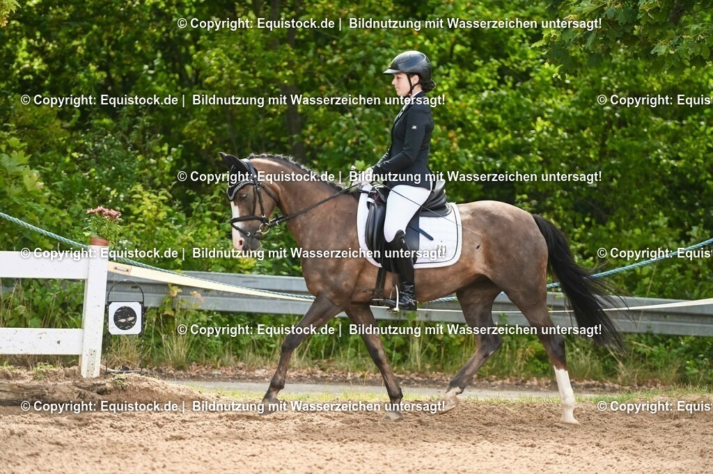 20230716_10-1_Reiter-WB Schritt - Trab - Galopp_0172 | equistock