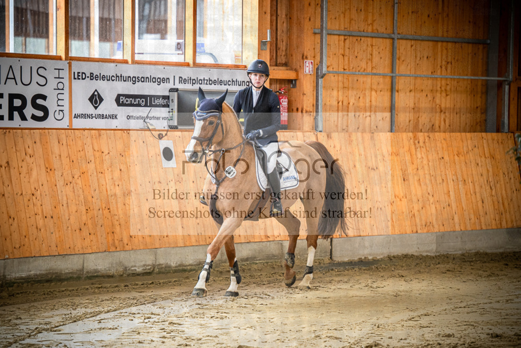 DOS_0427 | Entdecke hochwertige Reitturnierfotos von Foto Oger. Professionell, emotional und authentisch – jetzt Lieblingsmomente im Shop bestellen.Deutschlandweite Turnierfotografie. - Realisiert mit Pictrs.com