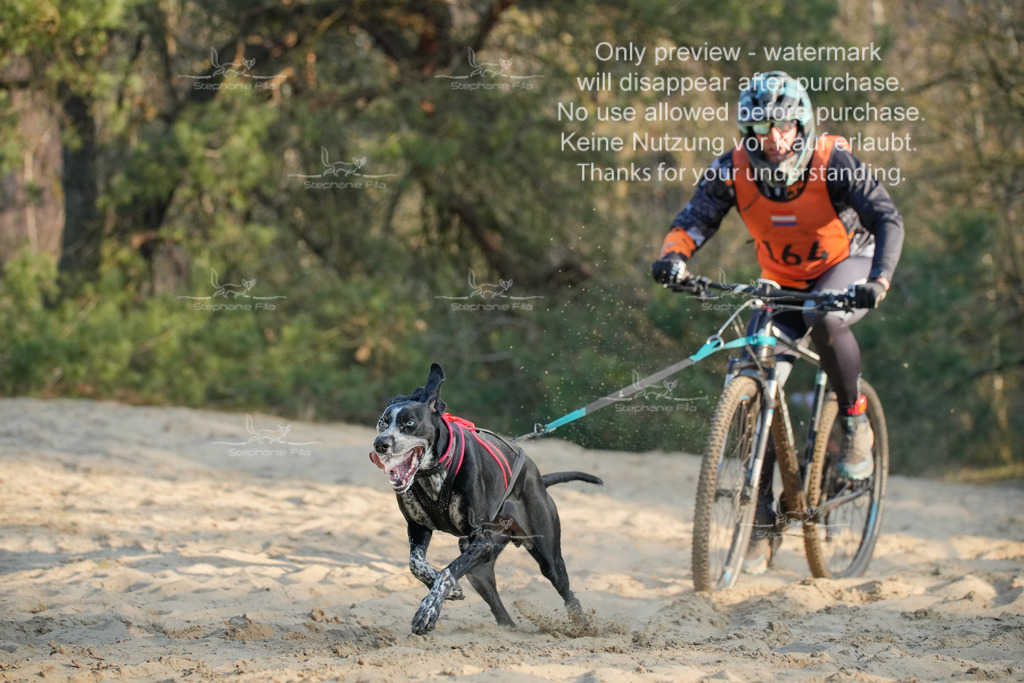 So_2_Bike-50 | stephaniefillaphotographie - Realisiert mit Pictrs.com