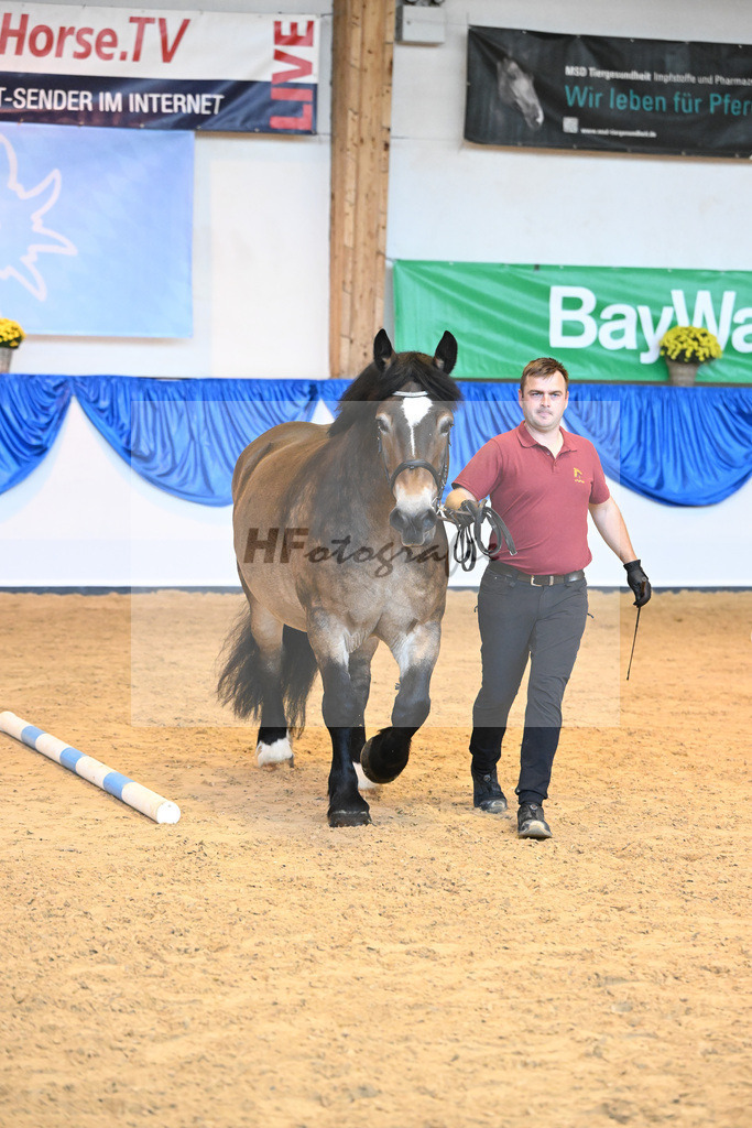Kat-Nr. 24 Pia von Brueck_Bruecker Agrar u Landschafts GbR_53221096 | hf-fotografie - Realizzato con Pictrs.com