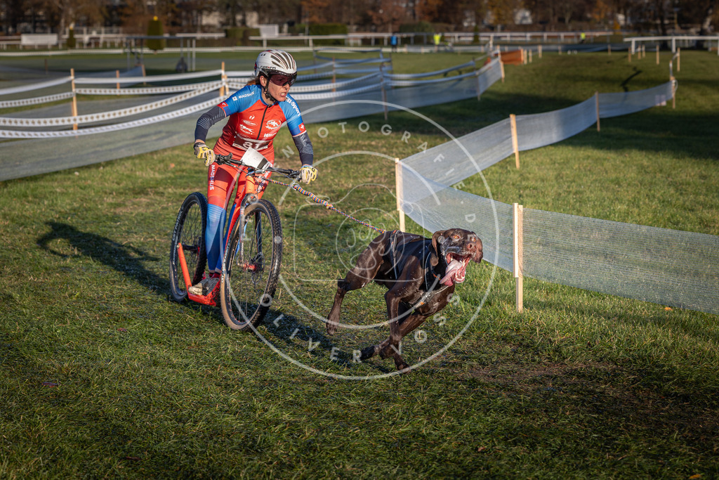 CaniXpix_0L8A3707 | Hundefotografie, Tierfotograf, Pfotenfotografie, Fotoshooting Hund, Hunde Portrait, Hundesport, Hundeportraits, Heideshooting, Hunde, Sportfotograf, Hundefotograf, Turnierhundsport, THS,  - Realisiert mit Pictrs.com