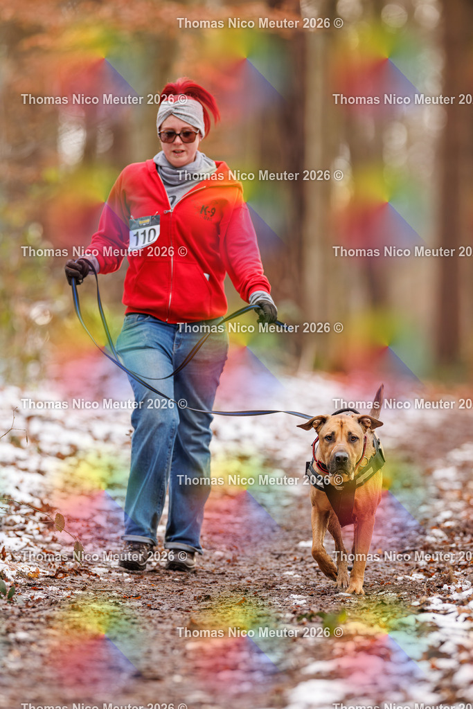 Thomas_Nico_Meuter(C)_223A9495 | Bild von Thomas Nico Meuter - Realisiert mit Pictrs.com