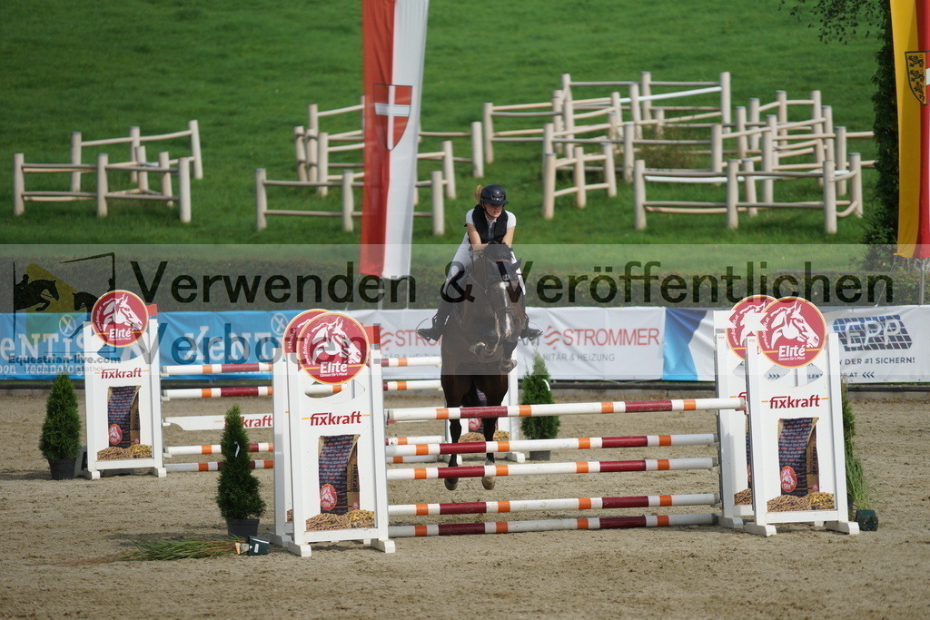 DSC05382 | equestrian-live-com