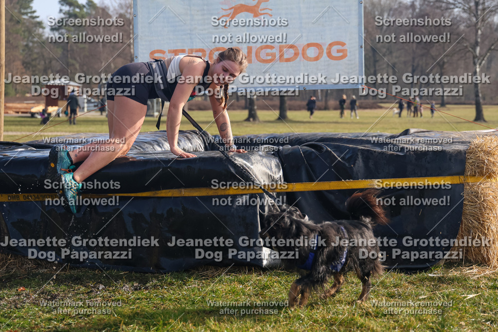 Dog Paparazzi - Strongdog North Mrz26-792 | Dog Paparazzi Jeanette Grottendiek Fotografie & Videografie - Realisiert mit Pictrs.com