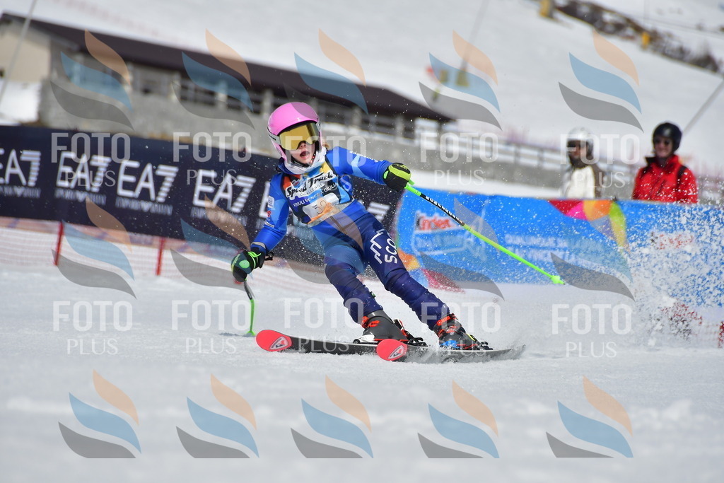 _DSC6996 | holidayphoto