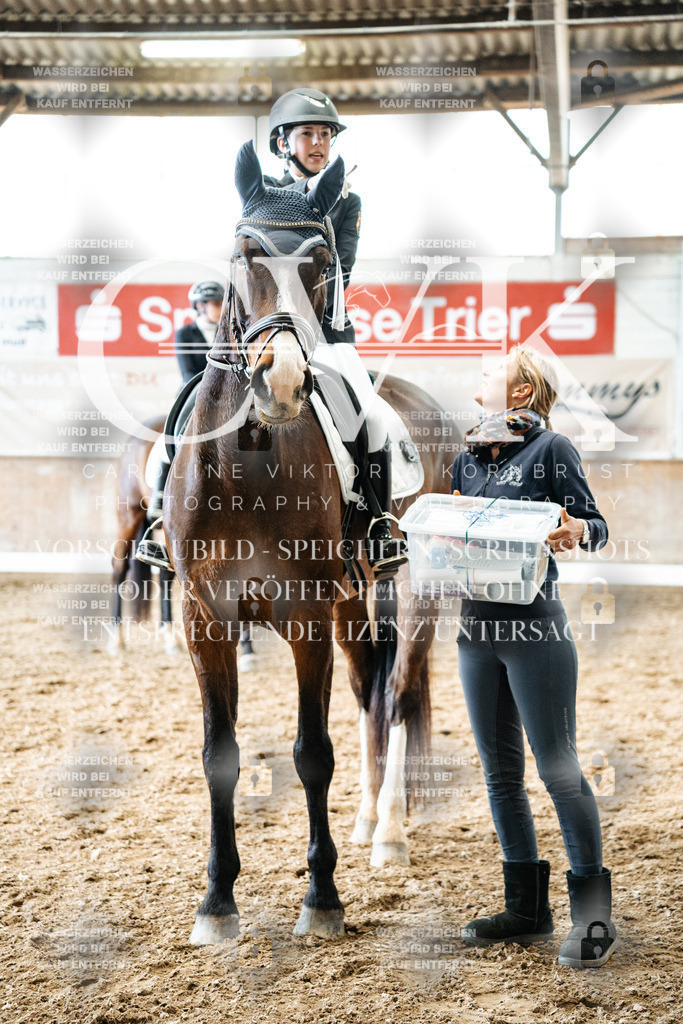 CK703132 | Turnierfotografie Pferdefotografie Trier Rheinland-Pfalz Pferdesport Reitsport Tierfotografie Sportfotografie Pferdevideo Pferdevideografie Equestrianvideography equestrianphotography  - Realisiert mit Pictrs.com