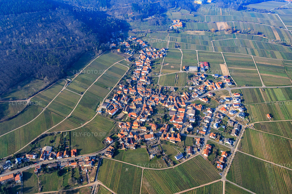 Luftbild: Winzerort am Haardtrand von Süden in Weyher in der Pfalz im Bundesland Rheinland-Pfalz in Deutschland. Foto: IMG_086482.jpg vom 18.03.2016 durch Werner Riehm/FLY-FOTO.de
