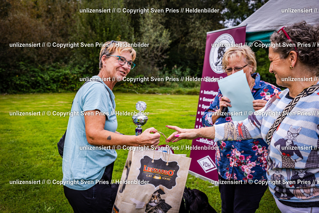 Sven Pries | 2024-09-22 - Hunderennen Baden-BadenPudelverein - Realisiert mit Pictrs.com