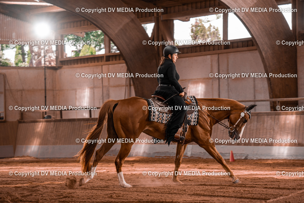 NE100343 | dv-media-shop - Realisiert mit Pictrs.com