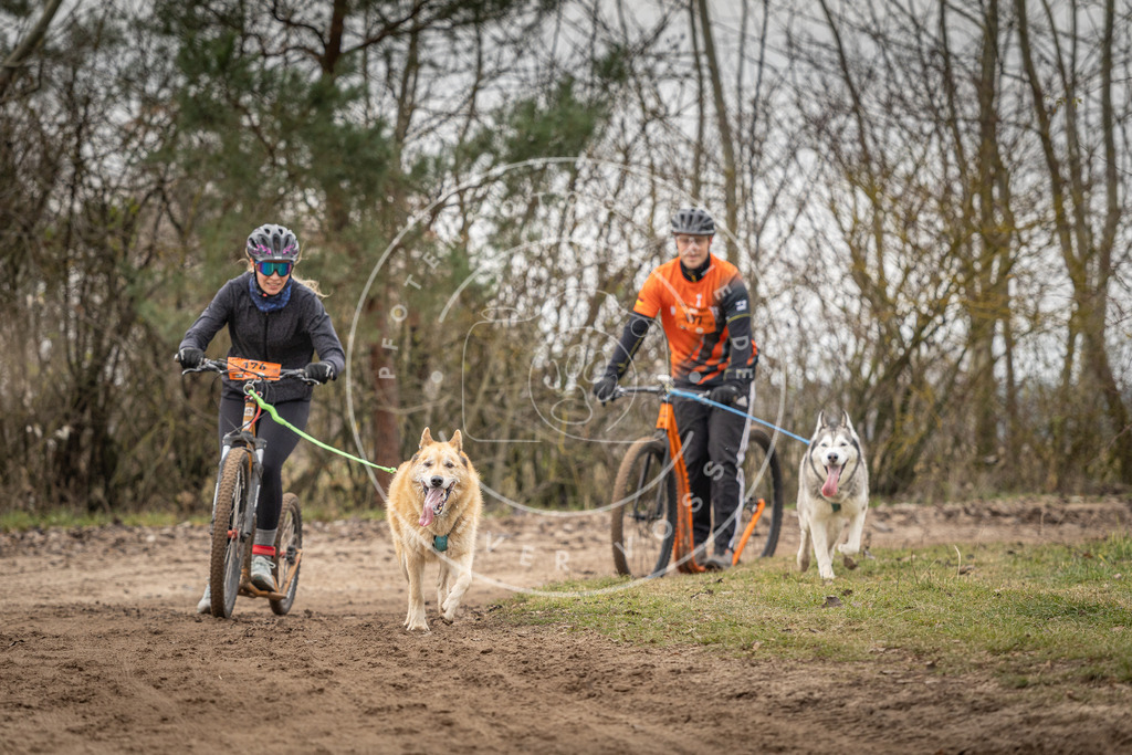 Pfotenfotografie_DV3A0172 | Hundefotografie, Tierfotograf, Pfotenfotografie, Fotoshooting Hund, Hunde Portrait, Hundesport, Hundeportraits, Heideshooting, Hunde, Sportfotograf, Hundefotograf, Turnierhundsport, THS,  - Realisiert mit Pictrs.com
