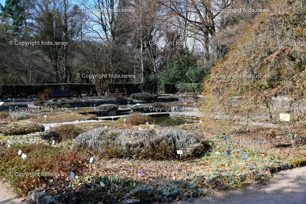 Botanischer Garten_ Friedrich Schwarz_ 08.03.2022-18 | 08.03.2022, Linz, AUT, Botanischer Garten Linz, im Bild Senkgarten, Zierstauden