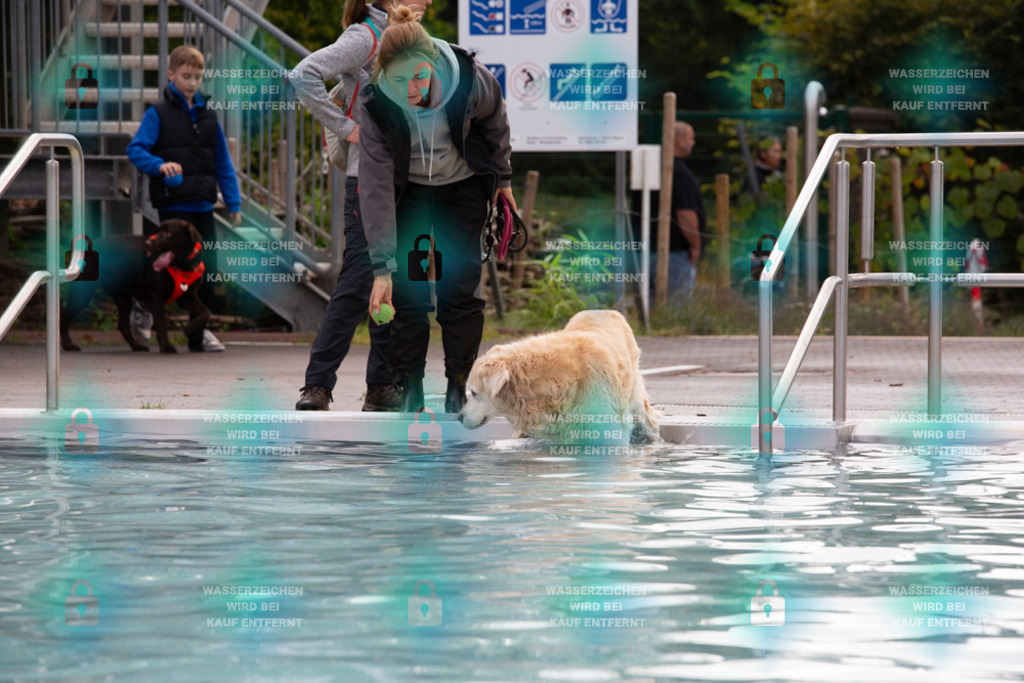 _HP_7542_1000o | HetPix, HetPix Fotodesign, Fotografie, Fotodesign, Webshop, Sportfotografie, Portraitfotografie, Onlineshop, Sportfotografie, Polch, Motorsportfotografie, Eventfotografie