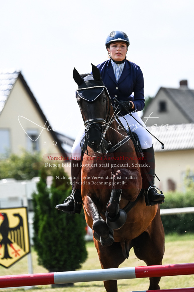 DSC_9207 | Pferde- und Turnierfotografie in Westsachsen. Pferdeportraits, Auftragszeichnungen und intuitive Kunst.