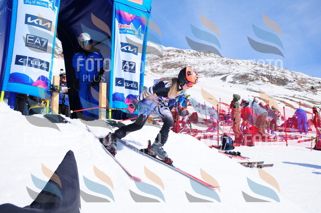 DSC_4705 | holidayphoto