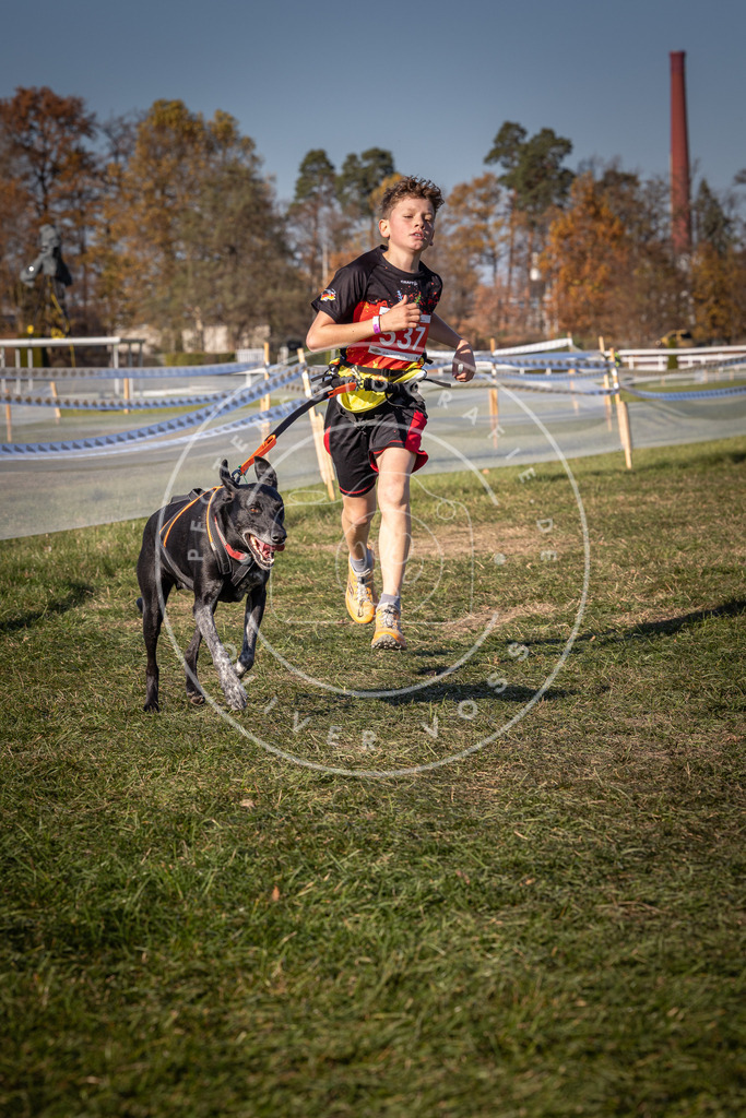 CaniXpix_0L8A7460 | Hundefotografie, Tierfotograf, Pfotenfotografie, Fotoshooting Hund, Hunde Portrait, Hundesport, Hundeportraits, Heideshooting, Hunde, Sportfotograf, Hundefotograf, Turnierhundsport, THS,  - Realisiert mit Pictrs.com