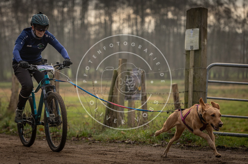 Pfotenfotografie_DV3A1982 | Hundefotografie, Tierfotograf, Pfotenfotografie, Fotoshooting Hund, Hunde Portrait, Hundesport, Hundeportraits, Heideshooting, Hunde, Sportfotograf, Hundefotograf, Turnierhundsport, THS,  - Realisiert mit Pictrs.com