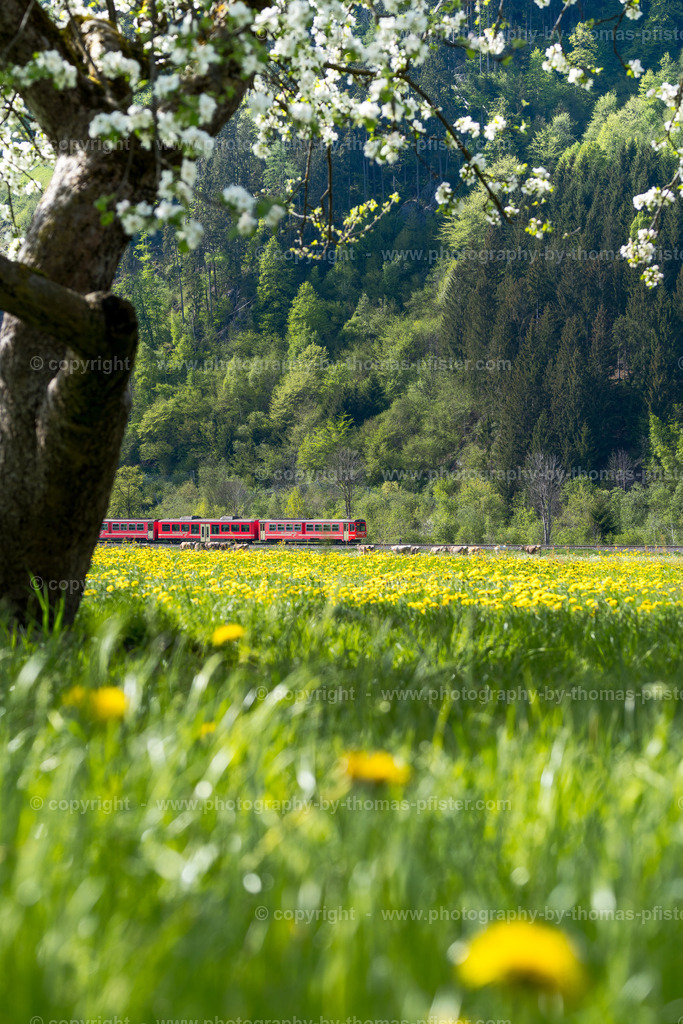 Zillertalbahn im Frühling copyright  Thomas Pfister-4 | PHOTOGRAPHY BY THOMAS PFISTER
