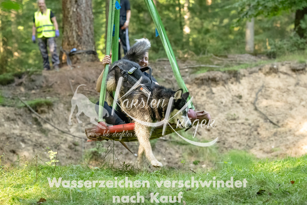 1449_ZZ90921-Bearbeitet-2 | kk-dogfotos