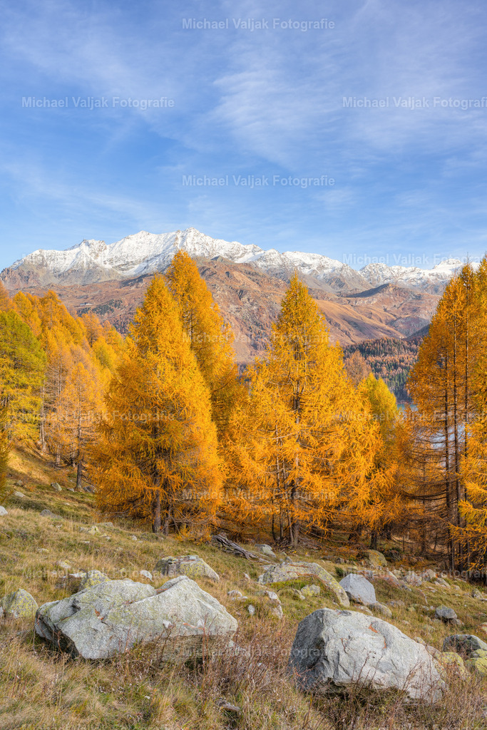 Herbst im Engadin  | Ein zauberhafter Herbsttag im Oberengadin in der Schweiz. Die Sonne bringt die gelb-orange gefärbten Lärchen zum Leuchten, auf den Gipfeln im Hintergrund liegt bereits etwas Schnee.  - Realisiert mit Pictrs.com