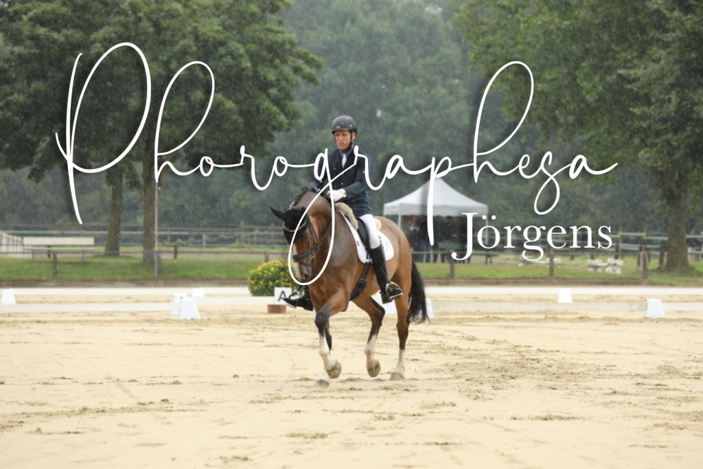 IMG_4818 | photographesa-joergens - Realisiert mit Pictrs.com