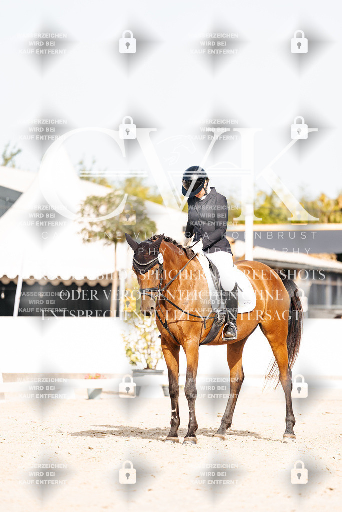 CK904867 | Turnierfotografie Pferdefotografie Trier Rheinland-Pfalz Pferdesport Reitsport Tierfotografie Sportfotografie Pferdevideo Pferdevideografie Equestrianvideography equestrianphotography  - Realisiert mit Pictrs.com