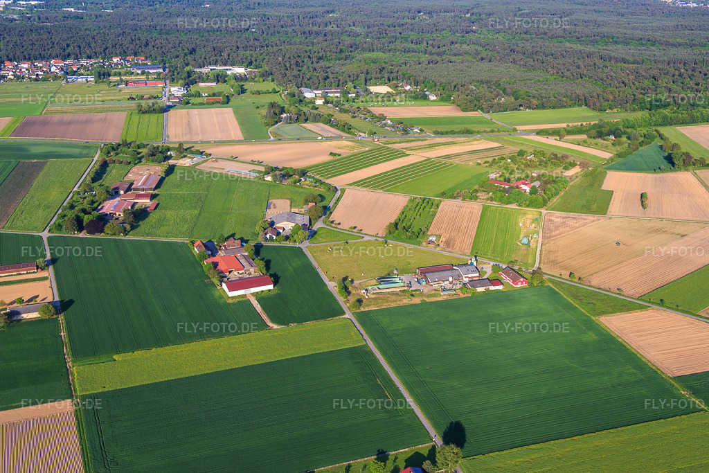 Luftbild: Kuhle Jule @ Fasanenhof und Falkenhof in Pfungstadt im Bundesland Hessen in Deutschland. Foto: IMG_088419.jpg vom 17.05.2016 durch Werner Riehm/FLY-FOTO.de