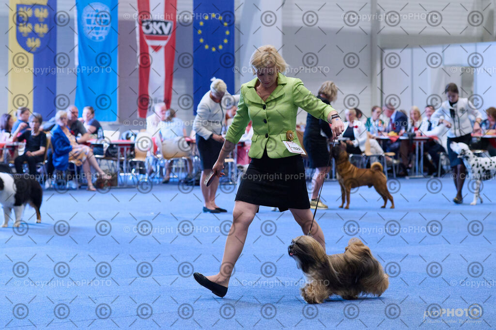 202406_ÖKV-IHA-Tulln24_DSC_4396 | proPHOTO - Realisiert mit Pictrs.com