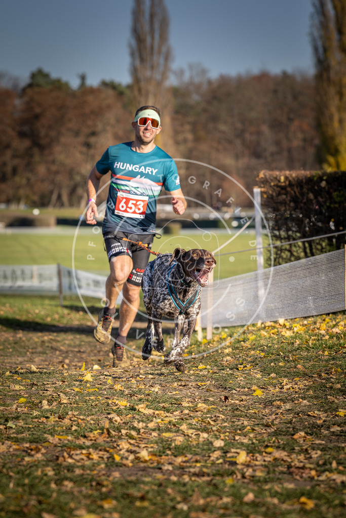 CaniXpix_DV3A0539 | Hundefotografie, Tierfotograf, Pfotenfotografie, Fotoshooting Hund, Hunde Portrait, Hundesport, Hundeportraits, Heideshooting, Hunde, Sportfotograf, Hundefotograf, Turnierhundsport, THS,  - Realisiert mit Pictrs.com