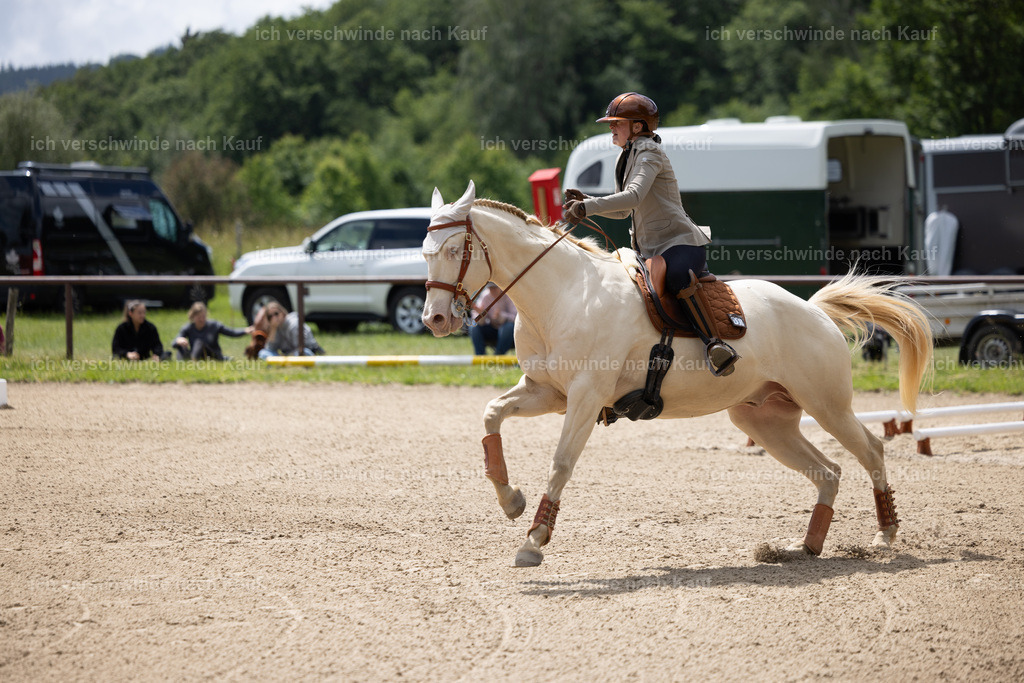 Masterclass_stoibphotography_C2_C7996.CR3 | working equitationturnier fotograf videograf stoibphotography marixx film working equitation deutschland reitsport turnierfotografie eventfotografie equestrian events
