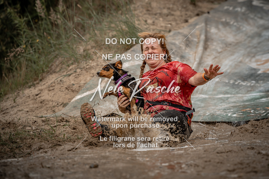 nelerasche_sa1100-1200_442 | nelerasche