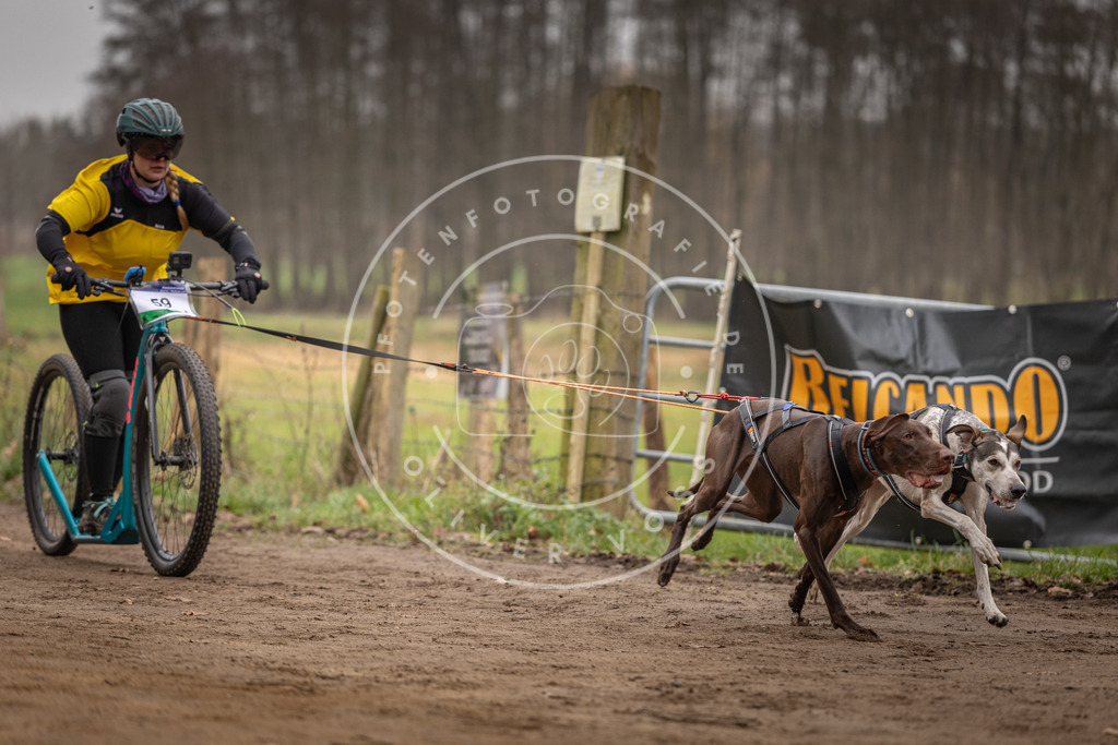 Pfotenfotografie_DV3A3203 | Hundefotografie, Tierfotograf, Pfotenfotografie, Fotoshooting Hund, Hunde Portrait, Hundesport, Hundeportraits, Heideshooting, Hunde, Sportfotograf, Hundefotograf, Turnierhundsport, THS,  - Realisiert mit Pictrs.com