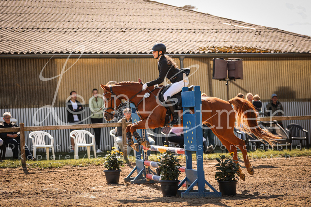 05.SaSpE00291 | Leoni Ertmer Photography - Realisiert mit Pictrs.com