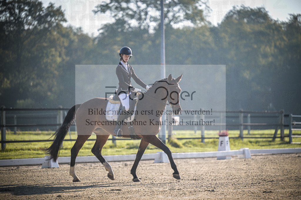 DOS_0190 | Entdecke hochwertige Reitturnierfotos von Foto Oger. Professionell, emotional und authentisch – jetzt Lieblingsmomente im Shop bestellen.Deutschlandweite Turnierfotografie. - Realisiert mit Pictrs.com