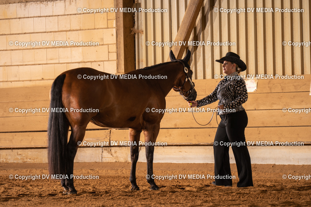 NID00133 | dv-media-shop - Realisiert mit Pictrs.com