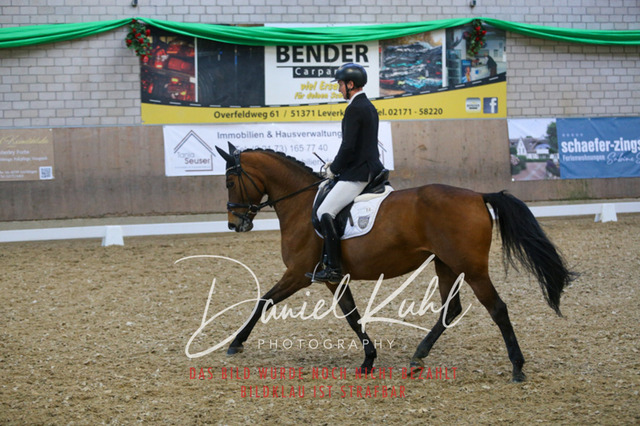 IMG_2755 | Turnierfotos kaufen im Webshop von Daniel Kuhl Photography – entdecke professionelle Reitsportfotos aus Turnieren & Events. Hochwertige Turnierbilder online bestellen & sichern. Jetzt Fotos von Reitsportturnieren kaufen!