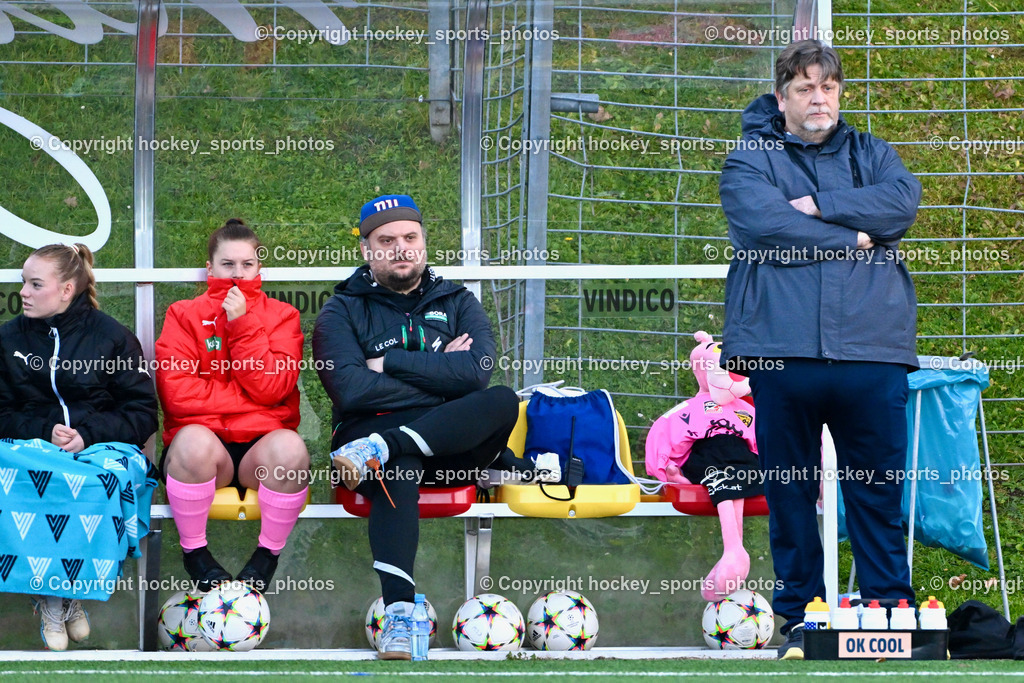 Liwodruck Carinthians Hornets vs. FK Austria Wien Frauen 19.11.2023 | Spielerbank Carinthians Hornets, #28 Patricia Bognar, #12 Larissa Lea Kassin, Sportlicher Leiter Carinthians Hornets Thomas Fian, Maskottchen Carinthians Hornets Rosaroter Panther, Headcoach Carinthians Hornets Alexander Pichelkastner