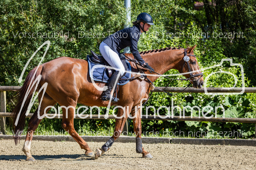 Donop24-A2Spr-010 | MomenTaufnahmen Pferdesportfotos