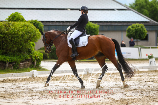 DKP40472 | Turniersportfotografie; Pferdefotografie; Dressurfotografie