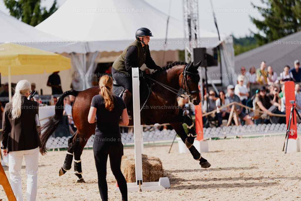 Lara_21_FHC2025-47 | working equitationturnier fotograf videograf stoibphotography marixx film working equitation deutschland reitsport turnierfotografie eventfotografie equestrian events