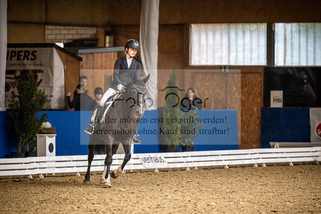 DOS_2012 | Entdecke hochwertige Reitturnierfotos von Foto Oger. Professionell, emotional und authentisch – jetzt Lieblingsmomente im Shop bestellen.Deutschlandweite Turnierfotografie. - Realisiert mit Pictrs.com