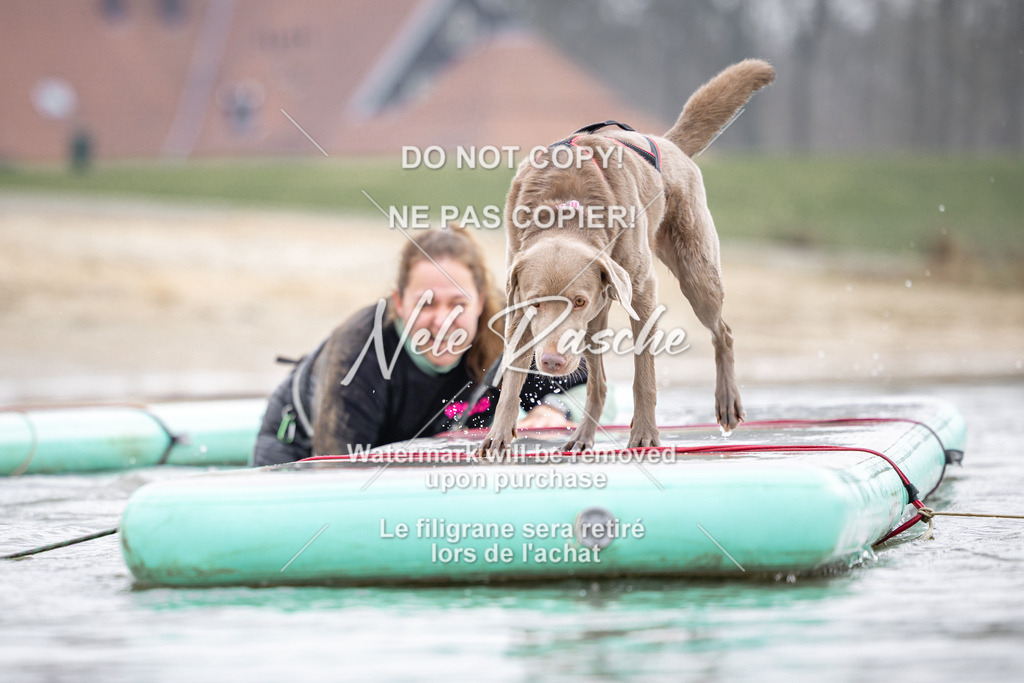 nelerasche_Hulsbeek_Sa1100-1130_338 | nelerasche